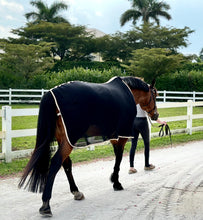 Load image into Gallery viewer, Scrim Sheet (BLK/TAN)