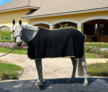 Load image into Gallery viewer, Coolex Sheet (BLK/TAN)