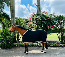 Load image into Gallery viewer, Coolex Sheet (BLK/TAN)