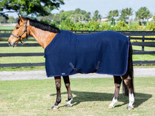 Load image into Gallery viewer, Coolex Sheet