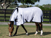 Load image into Gallery viewer, Sun/Fly Sheet