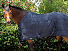 Load image into Gallery viewer, Stable Blanket - 150G