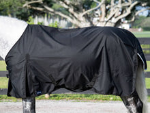 Load image into Gallery viewer, Turnout Sheet - 0G