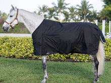 Load image into Gallery viewer, Turnout Rug - 150G