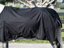 Load image into Gallery viewer, Turnout Rug - 150G
