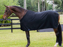 Load image into Gallery viewer, Wool Dress Sheet