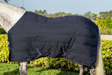 Load image into Gallery viewer, Stable Blanket - 150G