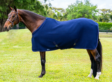 Load image into Gallery viewer, Coolex Sheet