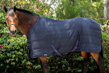 Load image into Gallery viewer, Stable Blanket - 150G