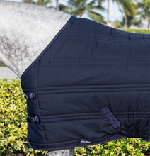 Load image into Gallery viewer, Stable Blanket - 350G