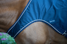 Load image into Gallery viewer, Walker Sheet