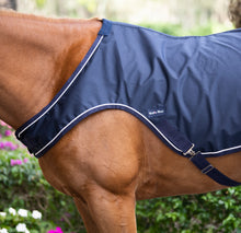 Load image into Gallery viewer, Walker Sheet