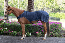 Load image into Gallery viewer, Walker Sheet