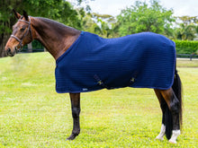 Load image into Gallery viewer, Coolex Sheet
