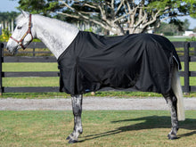 Load image into Gallery viewer, Turnout Sheet - 0G
