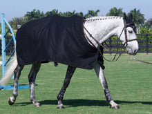 Load image into Gallery viewer, Wool Dress Sheet
