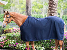 Load image into Gallery viewer, Wool Dress Sheet
